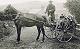 Kirk Yetholm - Muggers Row c1920